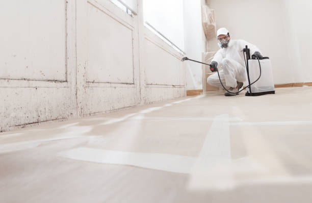 24/7 Emergency Crawl Space Mold Removal experts in Buckingham, PA